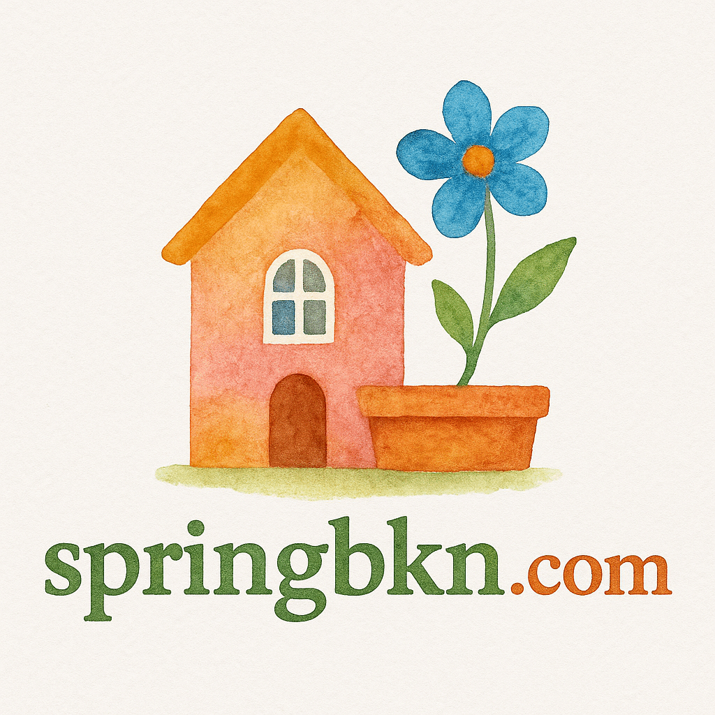 springbkn.com